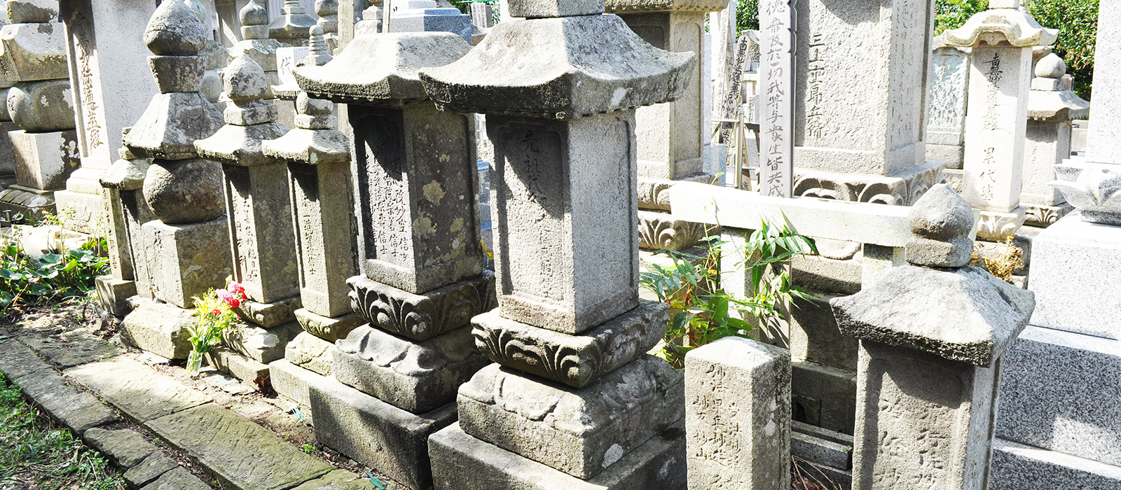 改葬（お墓の移転）