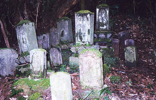 1,800件以上の先祖調査実績